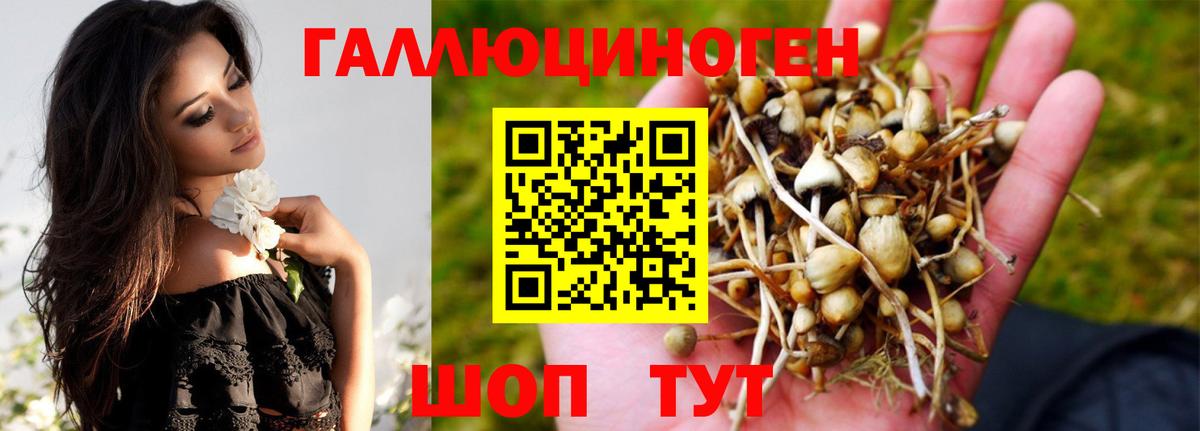 Псилоцибиновые грибы мицелий Гулькевичи